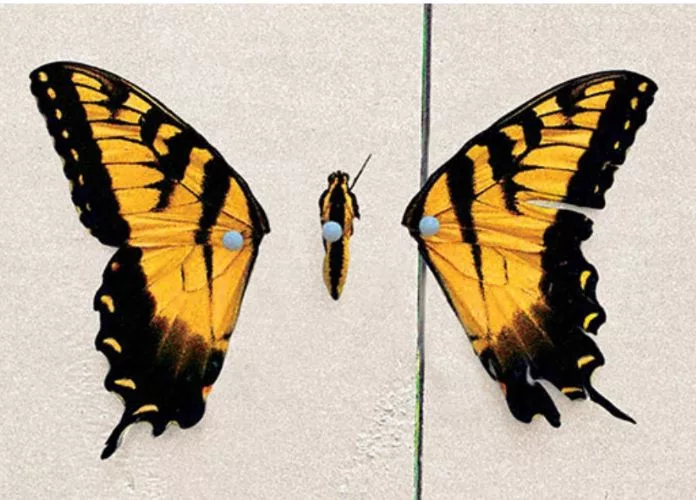 Foco na arte do álbum "Brand New Eyes", do Paramore